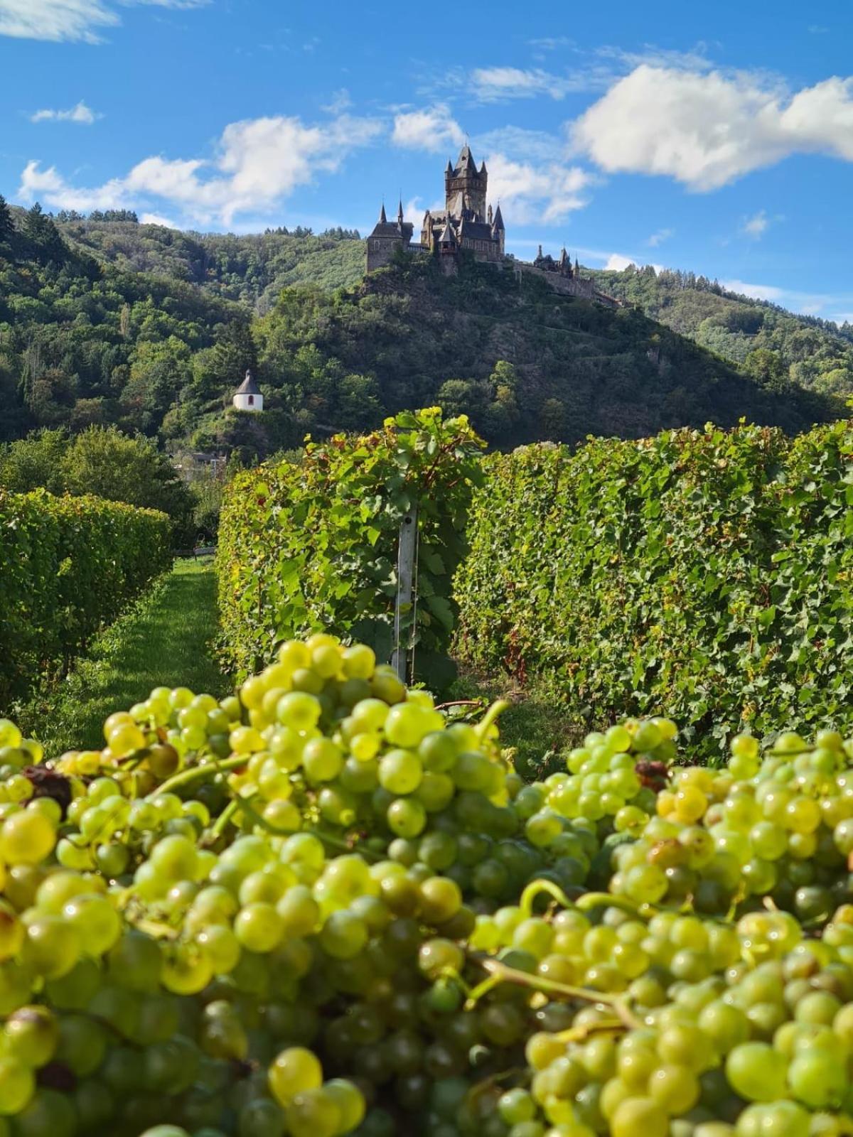 Weingut Gaestehaus Bach Кохем Екстер'єр фото